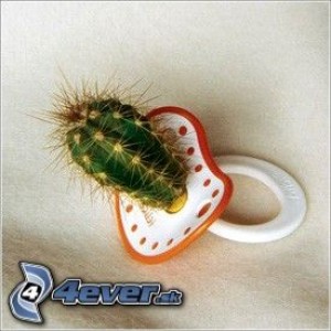Obrazek